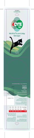 4CYTE Feline with Epiitalis for Joint and Cartilage Matrix Support