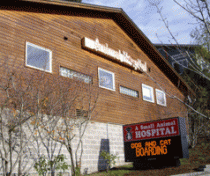 A Small Animal Hospital