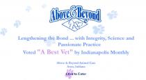 Above & Beyond Animal Care