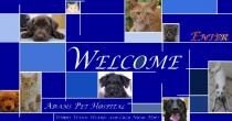 Adams Pet Hospital