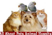 Holladay Veterinary Hospital