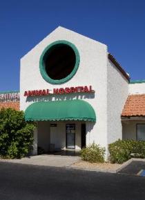 All Creatures Animal Clinic
