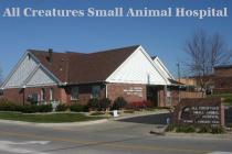 All Creatures Small Animal Hospital All Creatures Small Animal Hospital