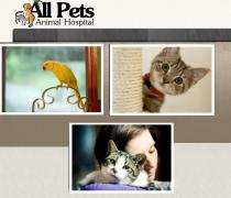 All Pets Animal Hospital