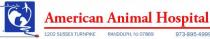 American Animal Hospital