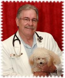 Animal Care Hospital of Phoenix Animal Care Hospital of Phoenix