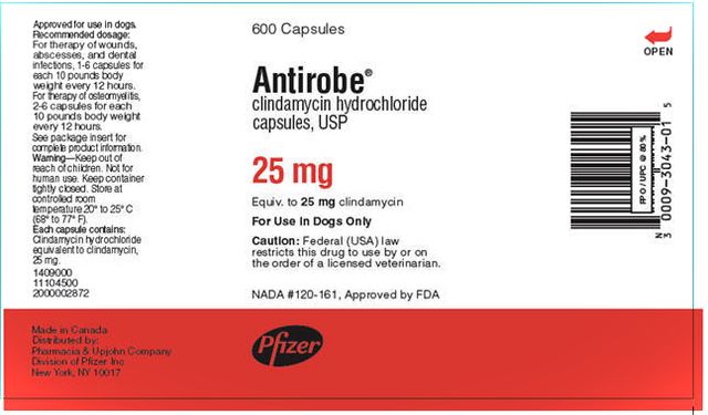 Antirobe ® clindamycin hydrochloride capsules, USP Antirobe Aquadrops ® clindamycin hydrochloride liquid