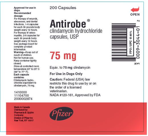 Antirobe ® clindamycin hydrochloride capsules, USP Antirobe Aquadrops ® clindamycin hydrochloride liquid