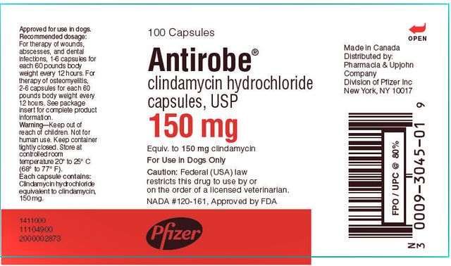 Antirobe ® clindamycin hydrochloride capsules, USP Antirobe Aquadrops ® clindamycin hydrochloride liquid