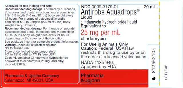 Antirobe ® clindamycin hydrochloride capsules, USP Antirobe Aquadrops ® clindamycin hydrochloride liquid