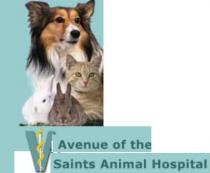 Avenue of the Saints Animal Hospital Avenue of the Saints Animal Hospital