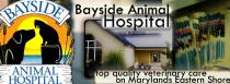 Bayside Animal Hospital Bayside Animal Hospital