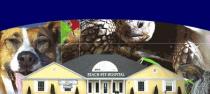 Beach Pet Hospital Beach Pet Hospital