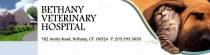 Bethany Veterinary Hospital Bethany Veterinary Hospital