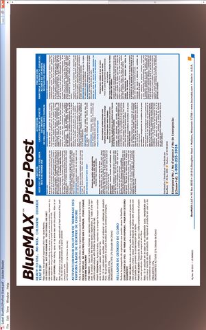 BLUEMAX PRE-POST