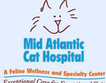 Cat Hospital Eastern Shore Cat Hospital Eastern Shore
