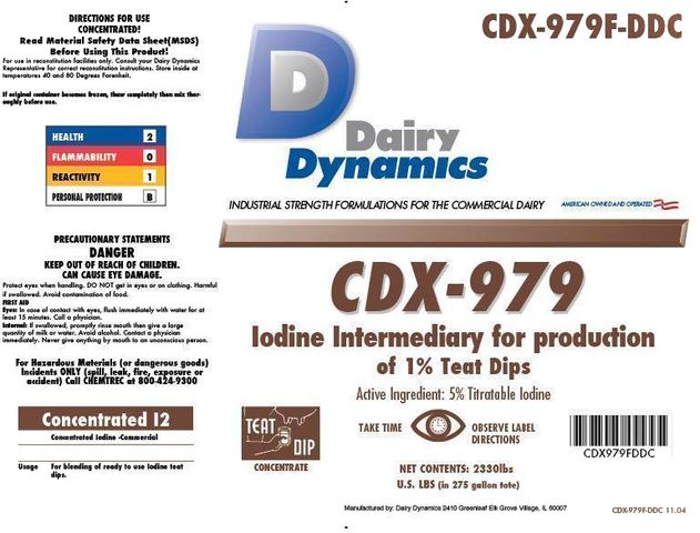 CDX-979