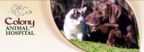 Colony Animal Hospital
