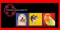 Community Animal Hospital Community Animal Hospital