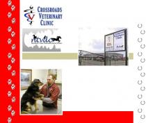 Crossroads Veterinary Clinic Crossroads Veterinary Clinic