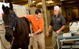 PAVE Clinical Year Program - Senior Student Program - Application Process PAVE Clinical Year Program - Senior Student Program - Application Process