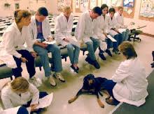 Teaching & Research : Curriculum Teaching & Research : Curriculum