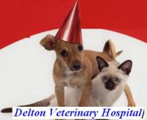 Delton Veterinary Hospital Delton Veterinary Hospital