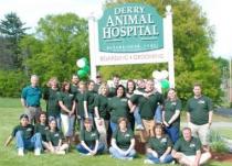 DERRY ANIMAL HOSPITAL