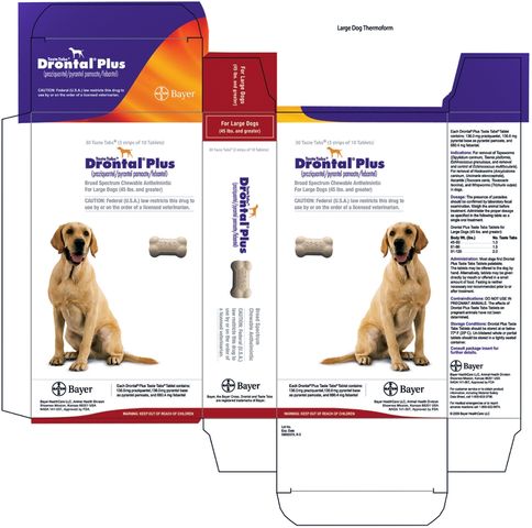 Drontal Plus(praziquantel/pyrantel pamoate/febantel)Taste Tabs®Broad Spectrum Chewable Anthelmintic Tablets for Dogs