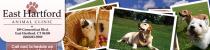 East Hartford Animal Clinic East Hartford Animal Clinic