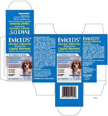 EVICT DS DOUBLE STRENGTH LIQUID WORMER