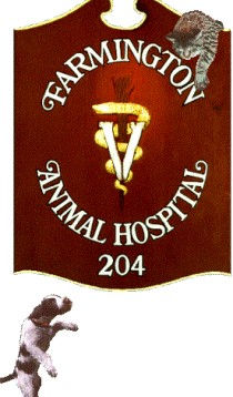 Farmington Animal Hospital Farmington Animal Hospital