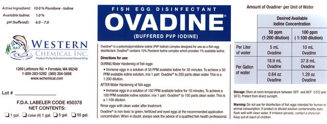 Fish Egg Disinfectant Ovadine® (Buffered PVP Iodine) Ovadine® is a polyvinylpyrrolidone iodine(PVP-Iodine)complex designed for use as a fish egg <a href=