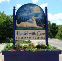 Handle With Care Vet Hospital Handle With Care Vet Hospital