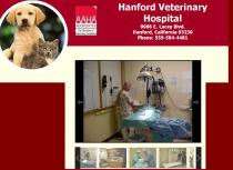Hanford Veterinary Hospital Inc Hanford Veterinary Hospital Inc