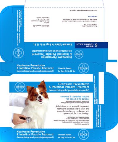 Heartworm Preventative & Intestinal Parasite Treatment