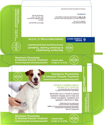 Heartworm Preventative & Intestinal Parasite Treatment