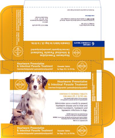 Heartworm Preventative & Intestinal Parasite Treatment