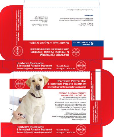 Heartworm Preventative & Intestinal Parasite Treatment