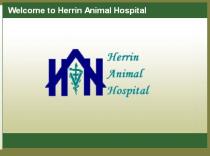 Herrin Animal Hospital