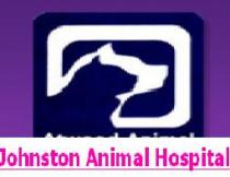 Johnston Animal Hospital Johnston Animal Hospital