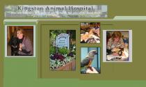 Kingston Animal Hospital