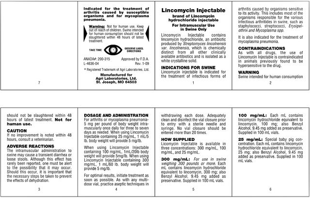 LINCOMYCIN 300 INJECTION