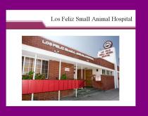 Los Feliz Small Animal Hospital Los Feliz Small Animal Hospital