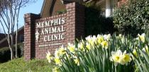 Memphis Animal Clinic Memphis Animal Clinic