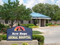 New Hope Animal Hospital