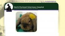 VCA North Portland Veterinary Hospital VCA North Portland Veterinary Hospital
