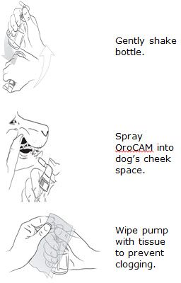 OroCAM ™ (meloxicam) Transmucosal Oral Spray Non-steroidal anti-inflammatory drug for oral use in dogs only.