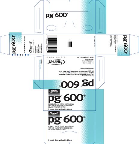P.G. 600 ®