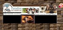 Paradise Pet Hospital Paradise Pet Hospital